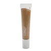 CLINIQUE - All About Eyes Concealer - #04 Medium Petal 6FKW-04 10ml/0.33oz - As Picture